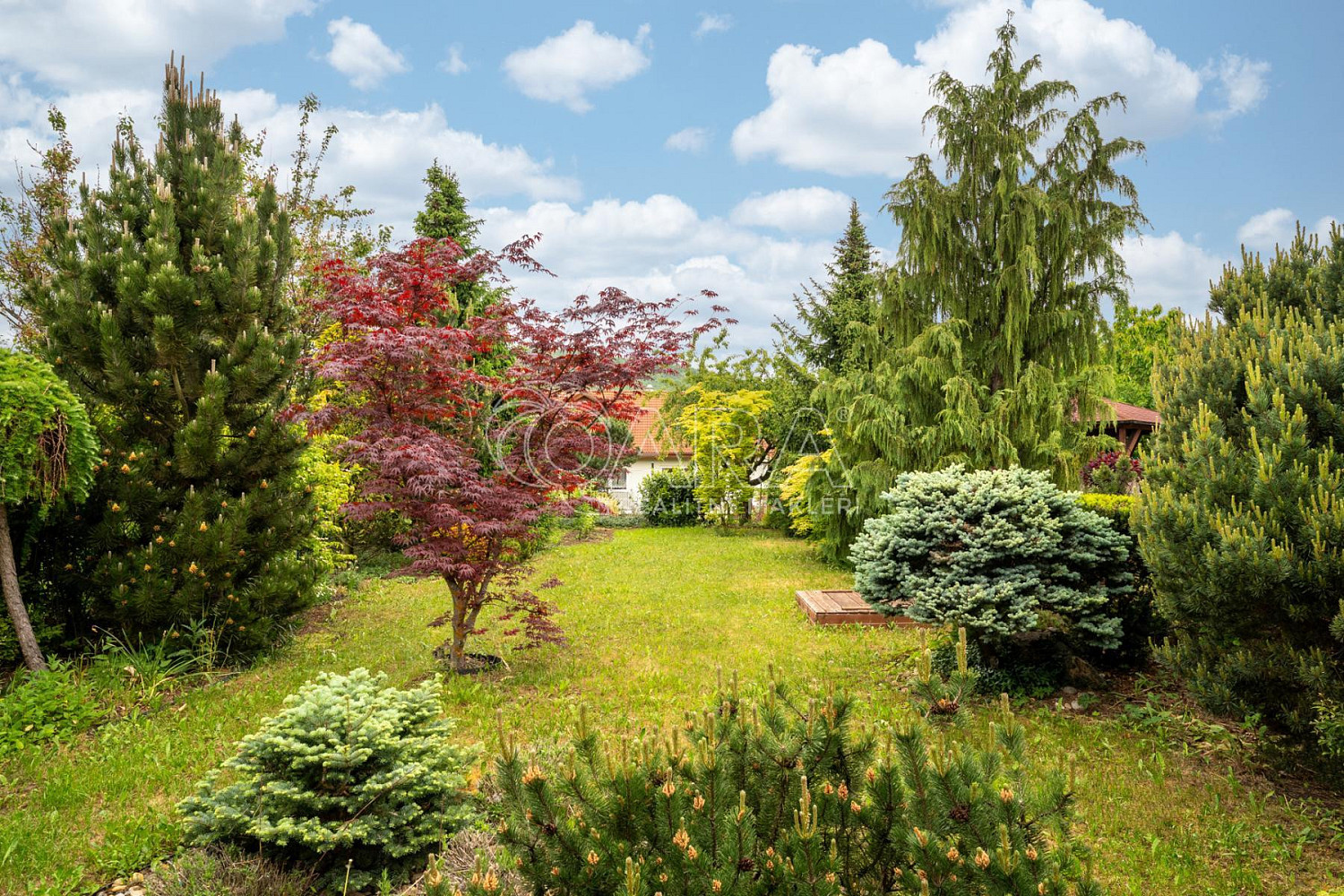Prodej domu 138 m² s pozemkem 404 m² – fotografie 4