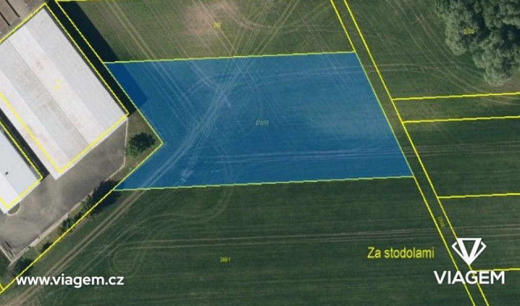 Prodej pole 5 054 m², Víceměřice – náhled fotky 3