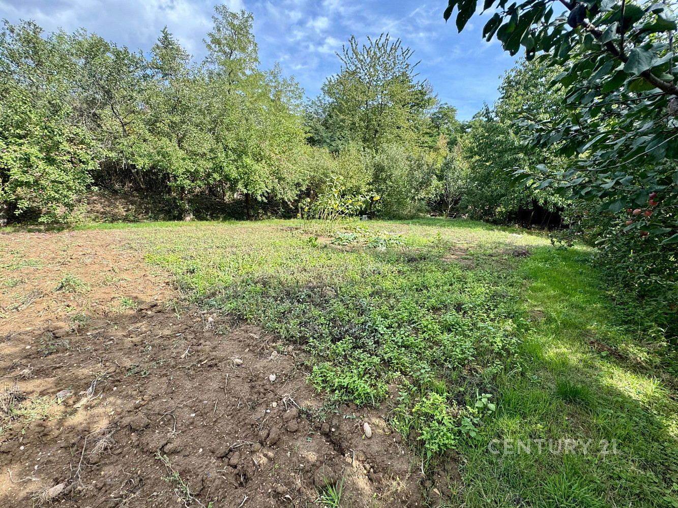 Prodej stavebního pozemku 1 546 m² – fotografie 4
