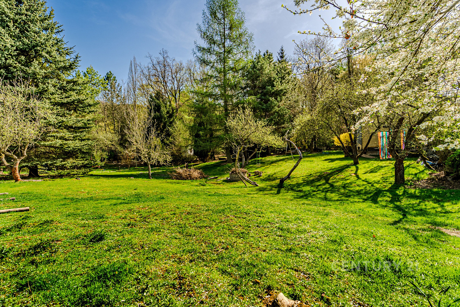 Prodej chaty/chalupy 31 m² s pozemkem 1 217 m² – fotografie 5
