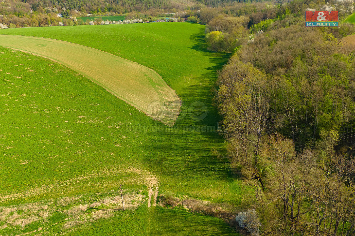 Prodej pole 4 100 m² — photo 2