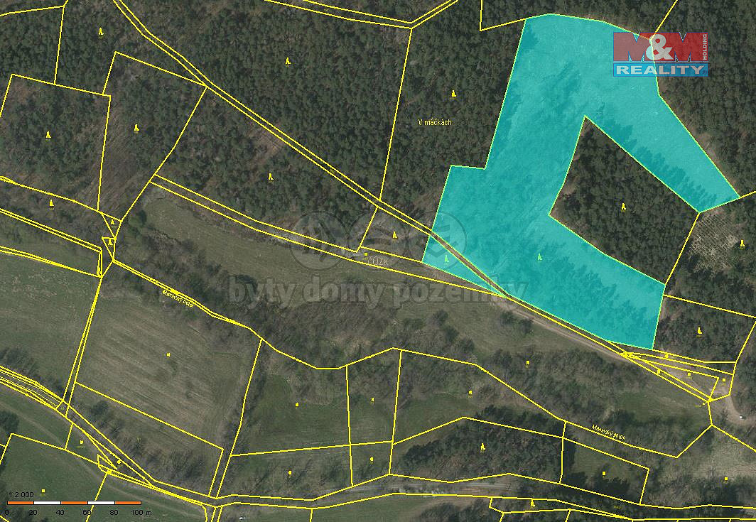 Prodej lesa 26 262 m²