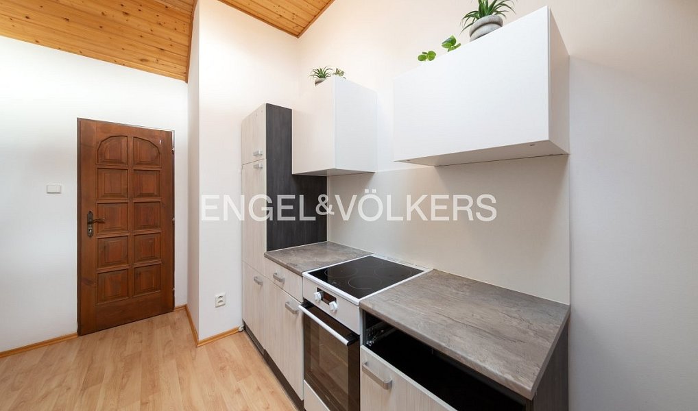 Pronájem bytu 1+1 70 m², Plzeň – náhled fotky 2
