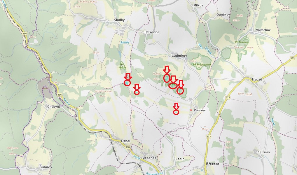 Prodej lesa 9 585 m², Dzbel – náhled fotky 23