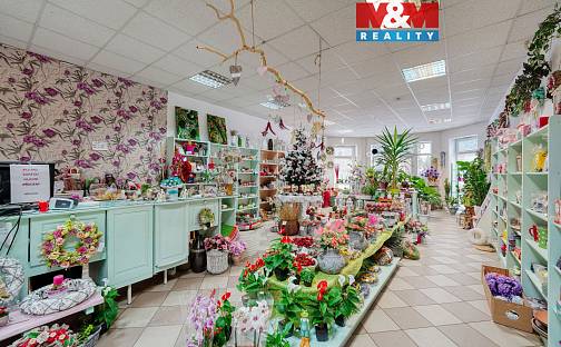 Pronájem obchodních prostor 133 m², Plzeňská, Třemošná, okres Plzeň-sever