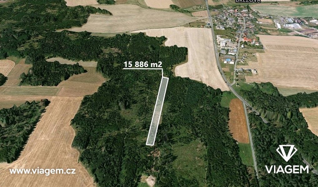 Prodej lesa 15 886 m², Březová – náhled fotky 4