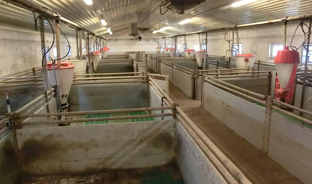 Prodej zemědělského objektu 2 000 m², Majdalena – náhled fotky 7