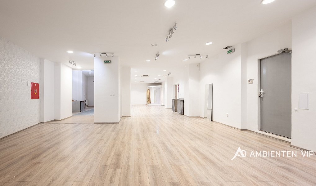 Prodej obchodních prostor 494 m², Brno – náhled fotky 34