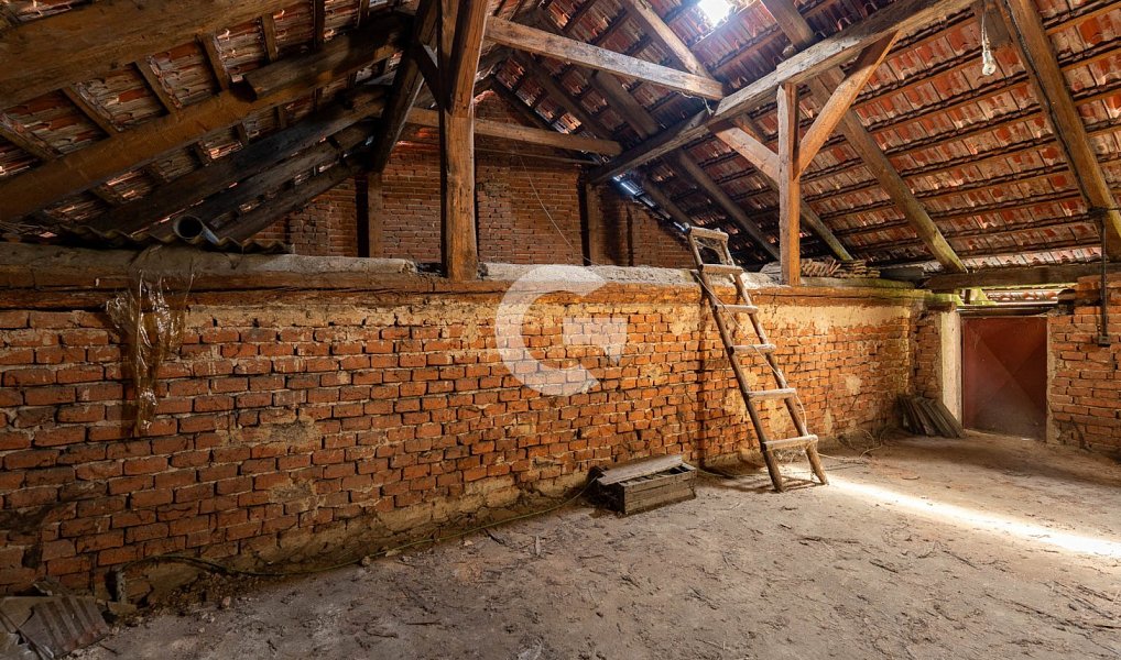 Prodej domu 85 m² s pozemkem 368 m², Žeranovice – náhled fotky 17