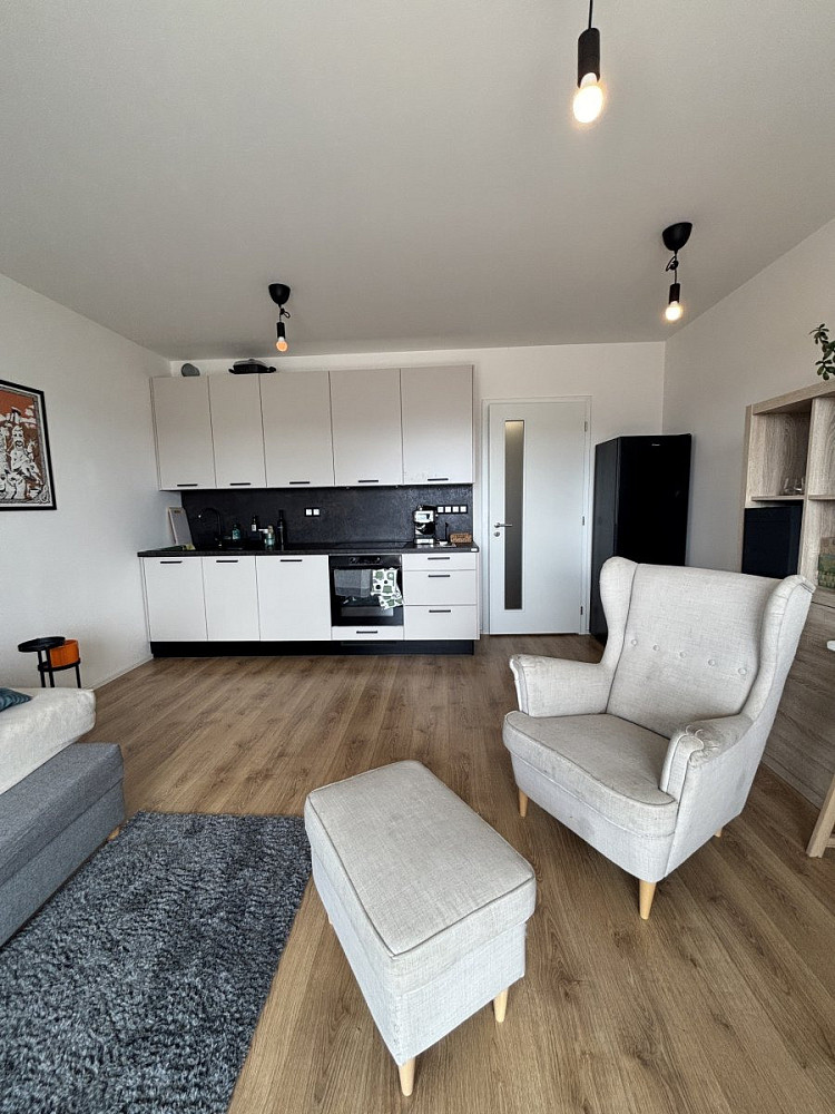 Pronájem bytu 1+kk 29 m² — photo 3