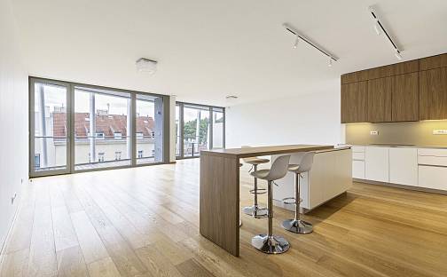Pronájem bytu 4+kk 196 m², Holečkova, Praha 5 - Smíchov