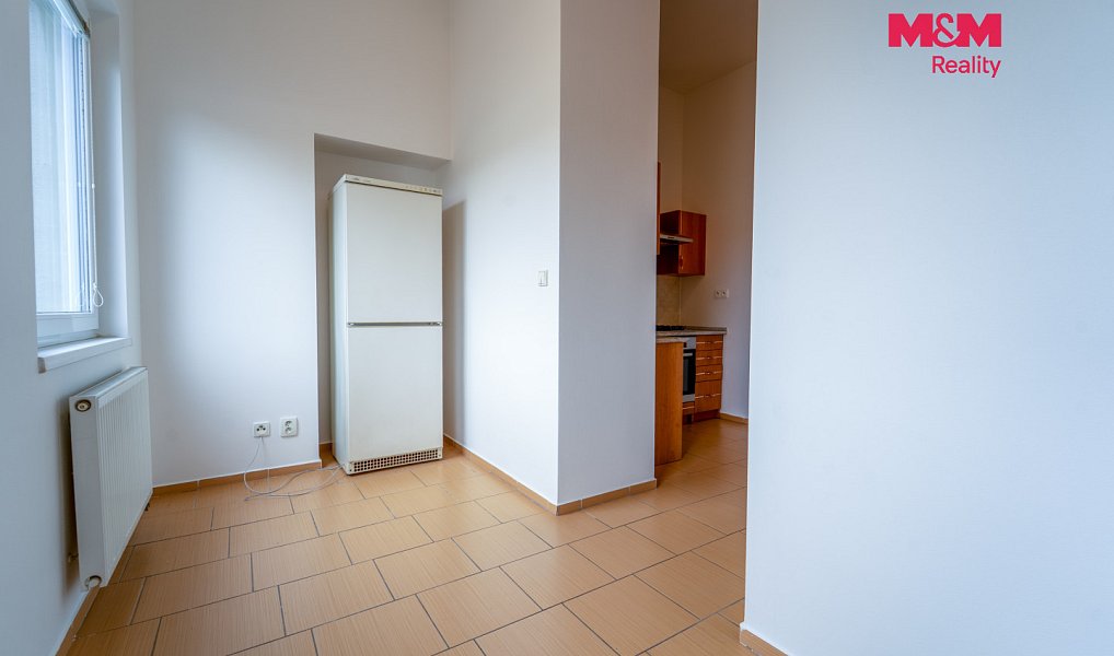 Pronájem bytu 1+1 65 m², Plzeň – náhled fotky 7