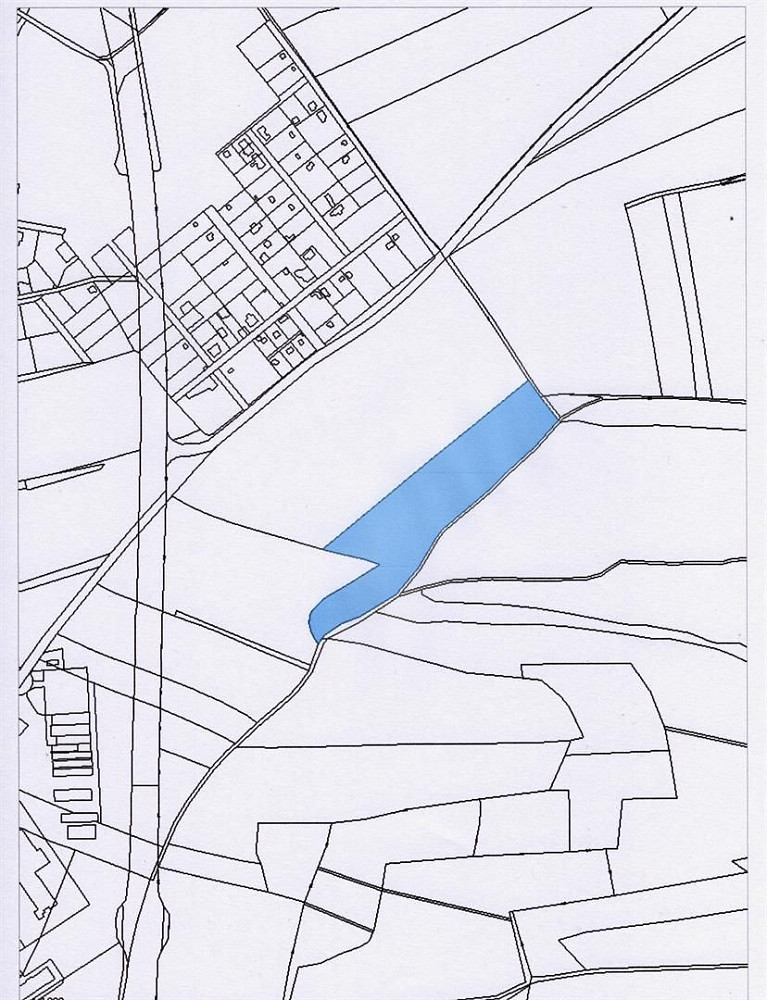 Prodej pole 24 066 m² — photo 4