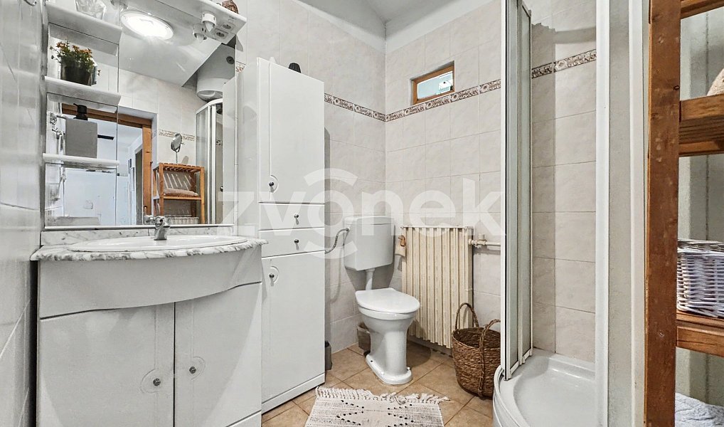 Prodej chaty/chalupy 167 m² s pozemkem 429 m², Bystřice pod Lopeníkem – náhled fotky 14