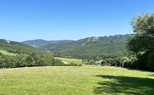 Prodej stavebního pozemku 5 950 m², Vyškovec, okres Uherské Hradiště