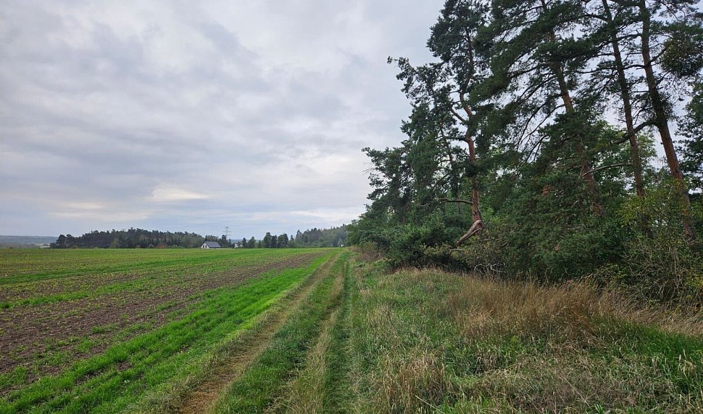 Prodej pozemku 17 275 m², Hrdlív – náhled fotky 7