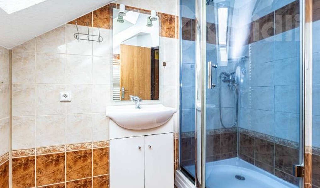 Prodej komerčního objektu (jiného typu) 302 m², Javorník – náhled fotky 30