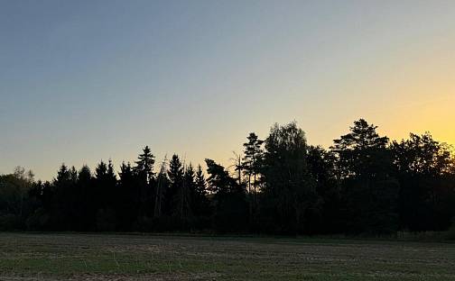 Prodej lesa 2 690 m², Horní Bukovina, okres Mladá Boleslav