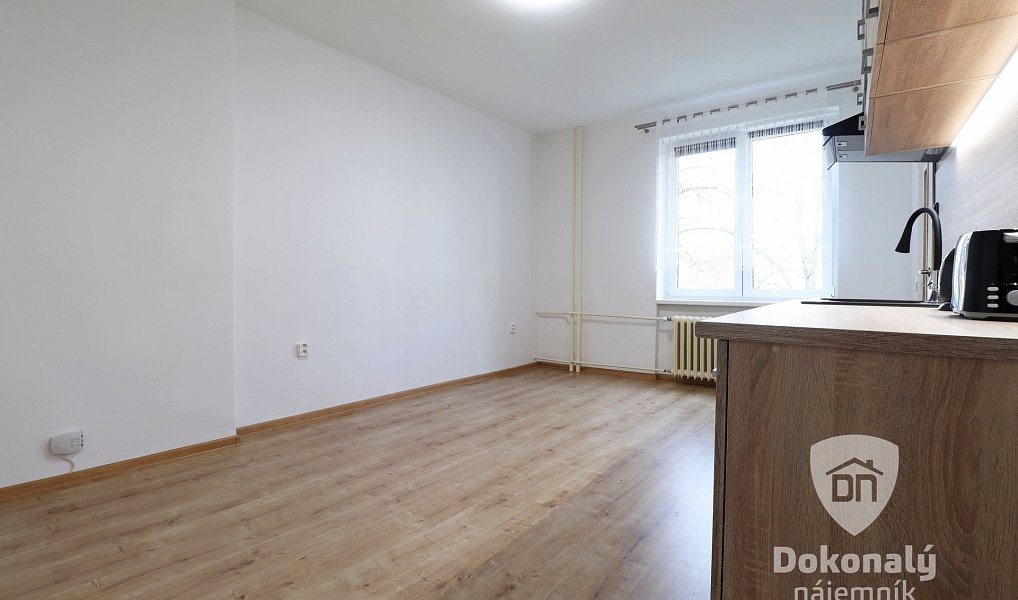 Pronájem bytu 1+kk 22 m², Praha – náhled fotky 2