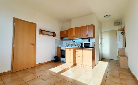 Pronájem bytu 1+1 40 m², Rychtářská, Liberec