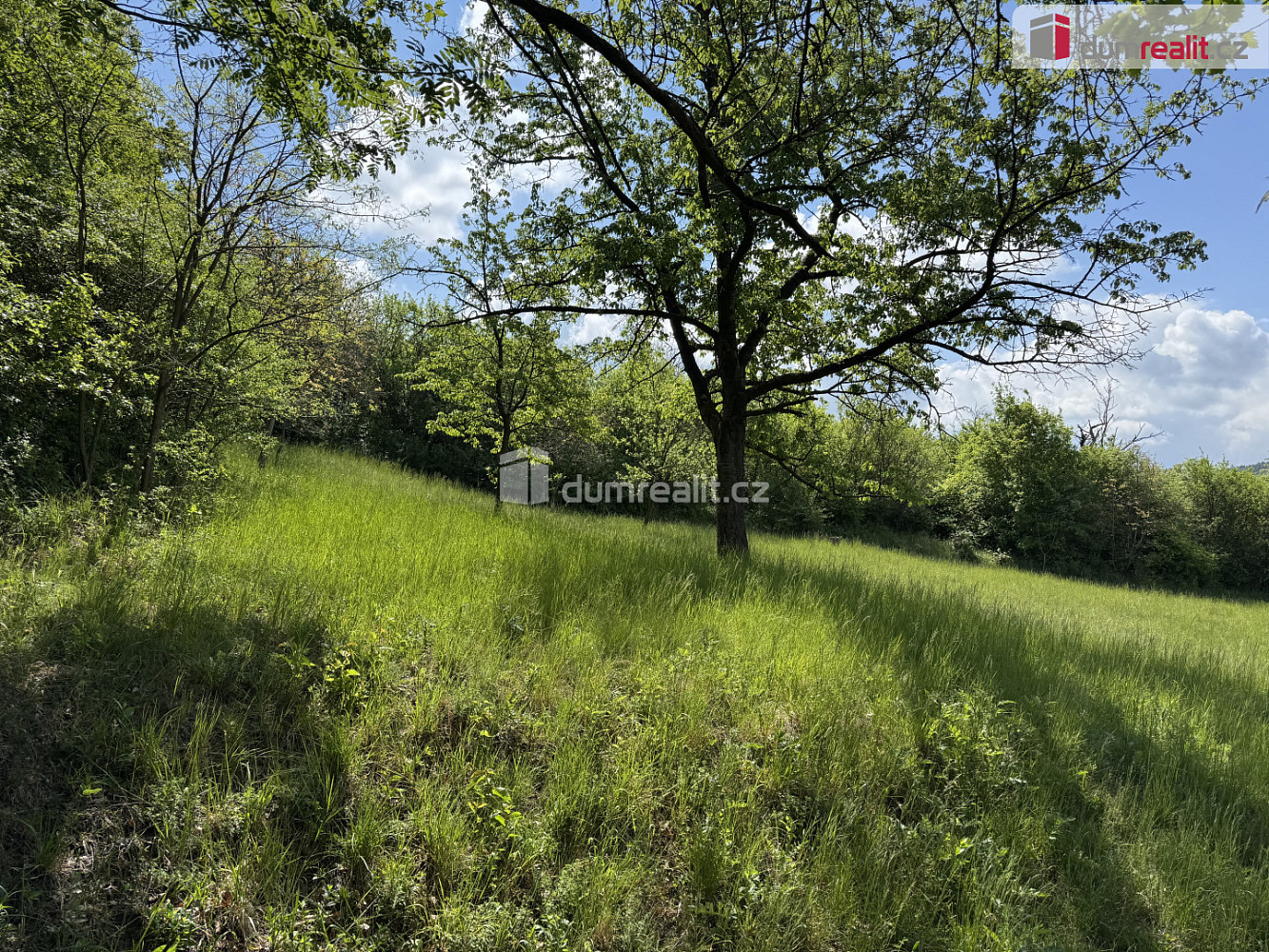Prodej louky 5 056 m²