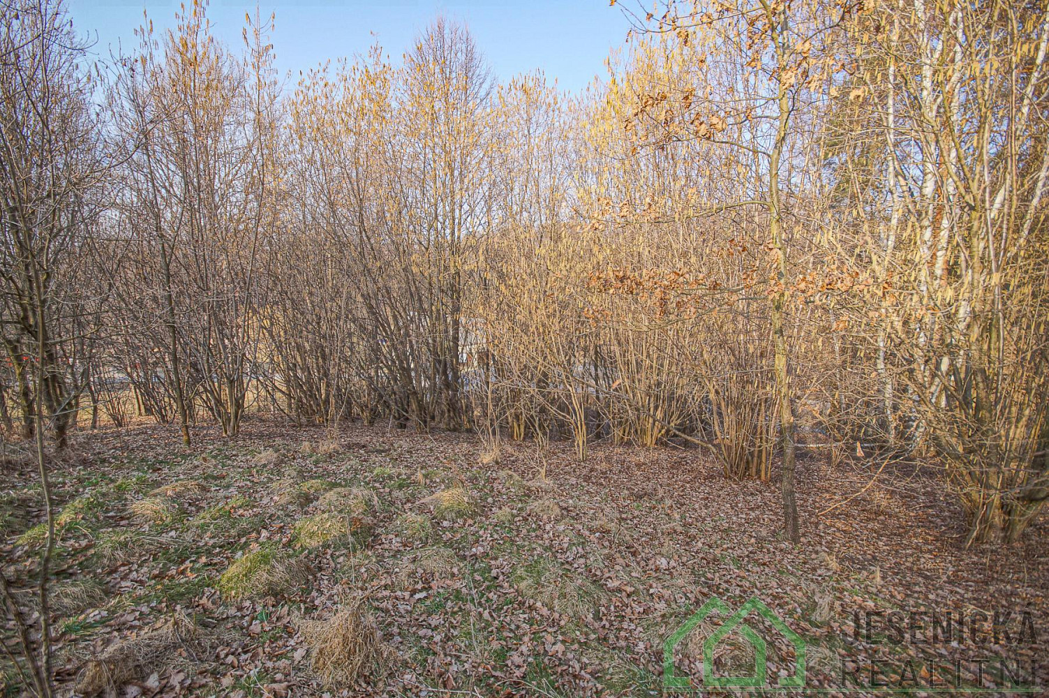 Prodej stavebního pozemku 15 640 m² – fotografie 5