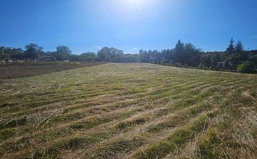 Prodej zahrady 1 664 m², Patokryje, okres Most