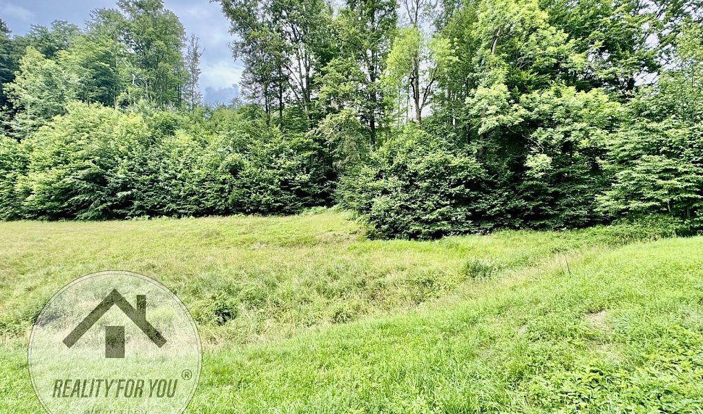Prodej stavebního pozemku 2 000 m², Liberec – náhled fotky 5