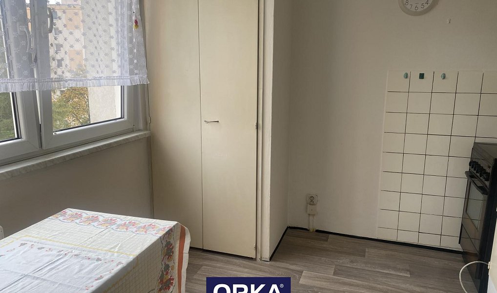 Pronájem bytu 1+1 35 m², Olomouc – náhled fotky 4
