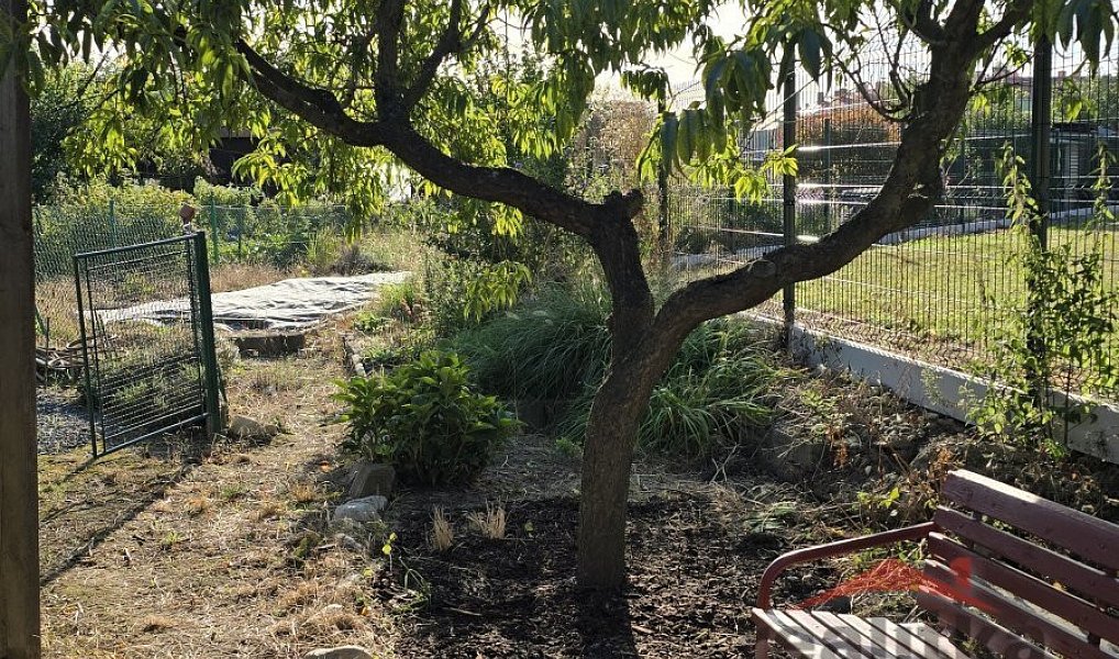 Prodej zahrady 150 m², Opava – náhled fotky 5