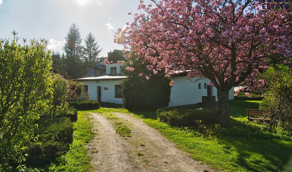 Prodej domu 575 m² s pozemkem 9 674 m², Klášterec nad Orlicí – náhled fotky 11