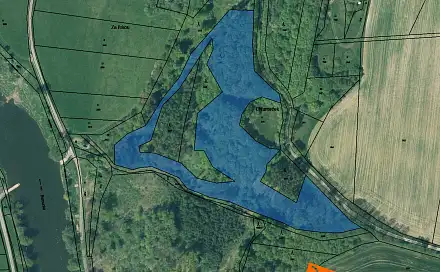 Prodej lesa 5 528 m², Břasy, okres Rokycany