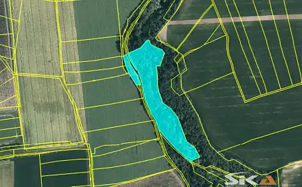 Prodej lesa 16 113 m², Lipno, okres Louny