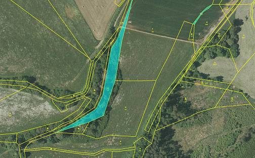 Prodej louky 2 981 m², Mochtín - Újezdec, okres Klatovy