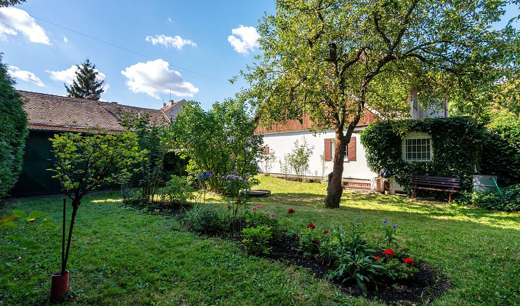 Prodej domu 50 m² s pozemkem 793 m², Velký Osek – náhled fotky 6