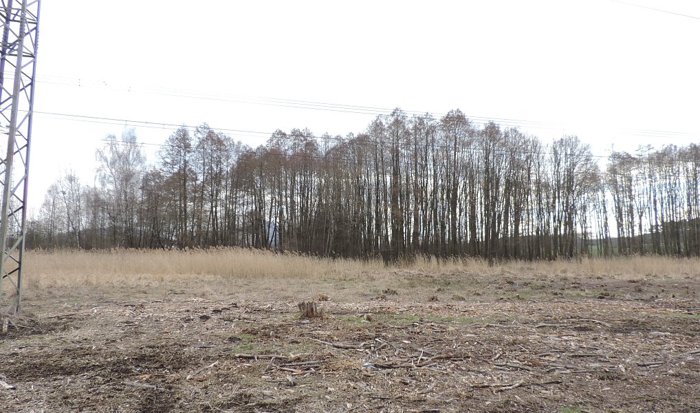 Prodej vodní plochy 486 m², Brniště – fotka 1 z 3