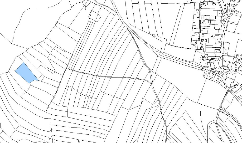 Prodej lesa 7 691 m², Horní Loučky – náhled fotky 3