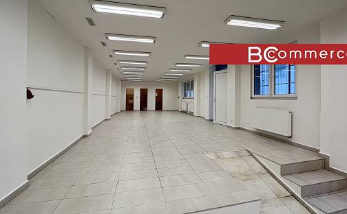 Pronájem obchodních prostor 125 m², Nové sady, Brno - Staré Brno