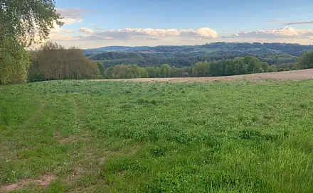 Prodej pole 4 844 m², Nouzov, Semily