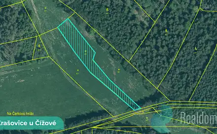 Prodej pozemku 1 215 m², Čížová, okres Písek