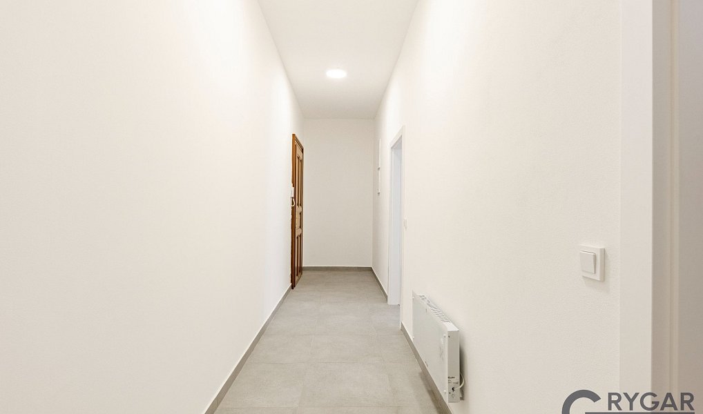 Prodej bytu 1+1 55 m², Praha – náhled fotky 6