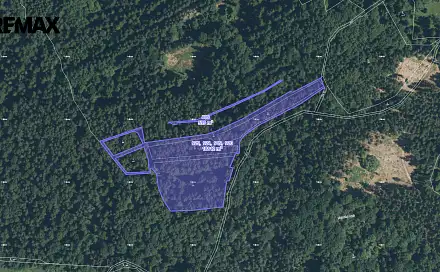 Prodej lesa 8 533 m², Staré Sedliště, okres Tachov