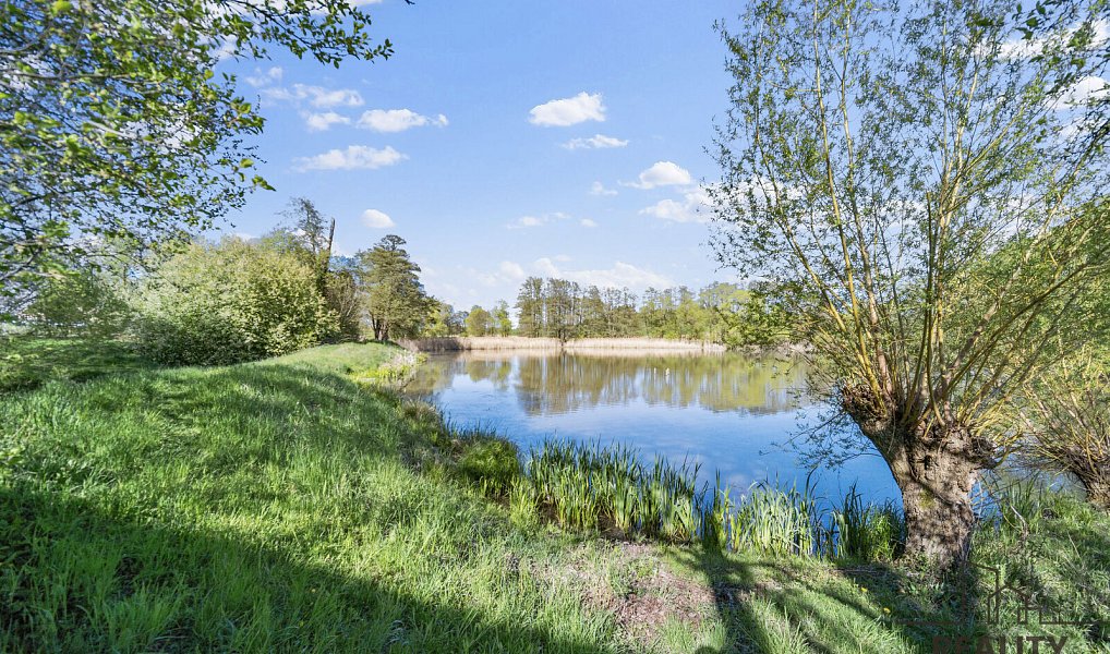 Prodej stavebního pozemku 893 m², Vrbatův Kostelec – náhled fotky 8