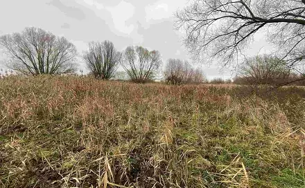 Prodej pozemku 4 103 m², Křenovice, okres Přerov
