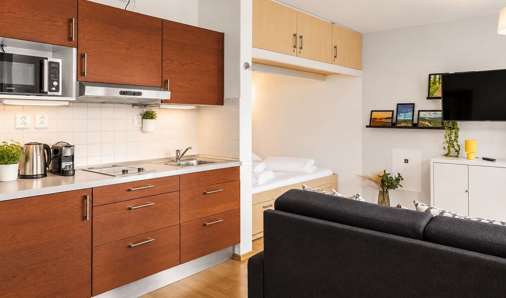 Prodej bytu 1+kk 33 m², Loučná pod Klínovcem – náhled fotky 6