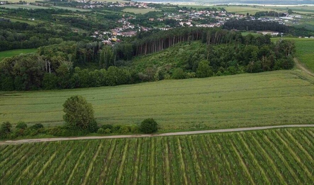 Prodej pozemku 2 077 m², Ořechov – náhled fotky 5