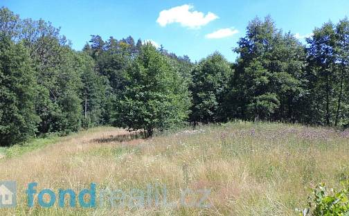 Prodej pozemku 19 744 m², Mařenice, okres Česká Lípa