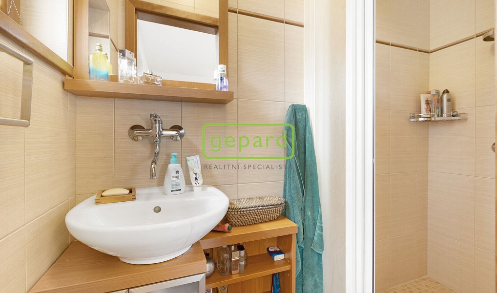Prodej domu 353 m² s pozemkem 496 m², Přelouč – náhled fotky 33