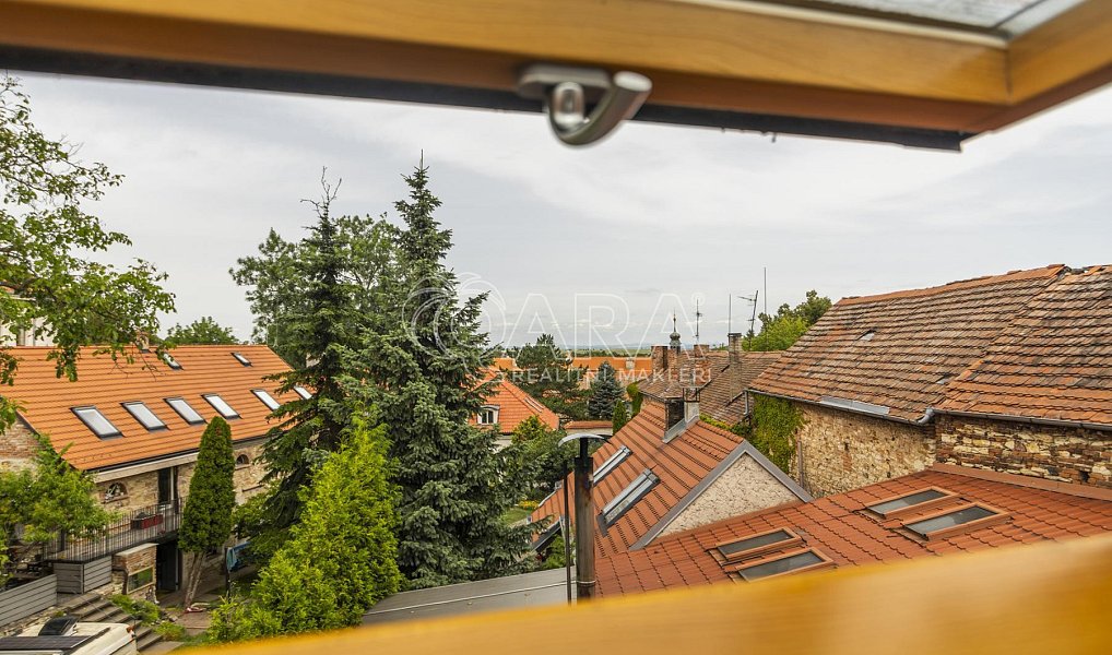 Pronájem komerčního objektu (jiného typu) 470 m², Praha – náhled fotky 19