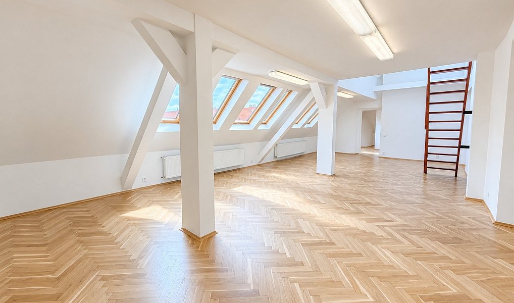 Pronájem kanceláře 150 m², Praha – náhled fotky 2